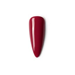 Riberry - 79 - Professional Gel Polish 15ml
